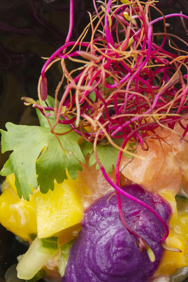 Tartare de saumon à la citronnelle, dés de mangue fraiche, zestes d'orange et coriandre frais